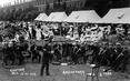 Photograph of the Royal Marines Artillery Divisional Band Orchestra performing at a garden party for visiting officers of the Ja